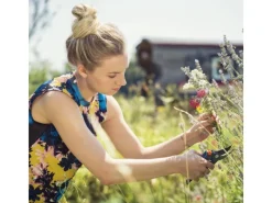 Gartenschere B/M*Gardena Discount