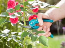Gartenschere B/S-M 22 mm Schnittdurchmesser*Gardena Online