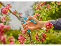 Gartenschere EasyCut 20 mm Schnittstärke*Gardena