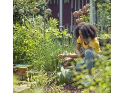 Gartenschere ExpertCut Grau-Blau*Gardena Sale