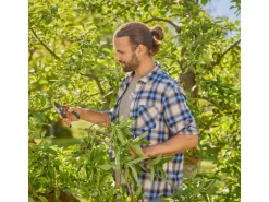 Gardena Gartenscheren|Baumscheren|Gartenschere PremiumCut Pro Flex Bypass Grünholz 24 mm