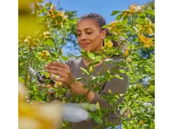 Gartenschere PremiumCut Frisches Holz Bypass 22 mm Schneiddurchmesser*Gardena Best