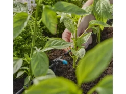 Reihentropfer 2 l/h für Pflanzen mit ähnlichem Wasserbedarf 10 Stück*Gardena Online