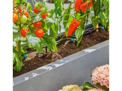 Tropfbewässerung Set 30 Tropfer*Gardena Clearance