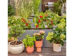 Tropfbewässerung Set 30 Tropfer*Gardena Clearance