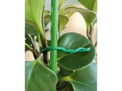 Weitere Gartenhelfer|Garten-Bindedraht 4,8 m Grün