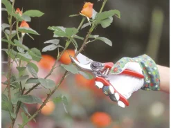 Gartenschere Bypass bis 13 mm Schnittstärke* Sale