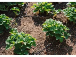 Drip Rohrverbinder-Set Ø 6 mm*Geka Discount