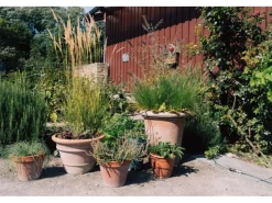 Drip Set Bewässerungssystem Balkon/Terrasse Ø 6 mm*Geka Clearance