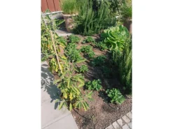 Drip Set Bewässerungssystem Gemüse-/Blumenbeet Ø 6 mm*Geka Hot