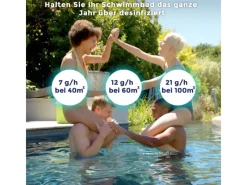 3 in 1 Salzelektrolyseanlage für Pools bis zu 40 m³ Grau*Gre New