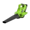 Akku-Laubbläser GD40BV 40V mit Saugfunktion Solo*Greenworks New