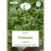 Feldsalat Volhart 3 Saatgut*Grüne Fee New