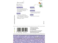 Speisemöhre Rote Riesen 2 Saatgut*Grüne Fee Discount