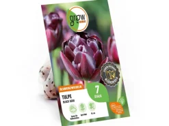 Tulpe Black Hero Lila 7 Stück Tulipa double late Black Hero*GROW by OBI Best