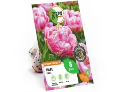 Tulpe Finola Rosa 8 Stück Tulipa double late Finola*GROW by OBI New