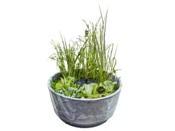 Heissner Wasserpumpe|Solar-Wassergarten Aquatopia