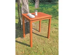 Garden Pleasure Balkonmöbel|Holz-Gartentisch Pittsburgh 70 cm x 50 cm Eukalyptus