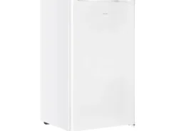 homeX Kühlboxen|Kühlschrank ohne Gefrierfach Vollraumkühlschrank Klein 88L Nutzinhalt Tischkühlschrank Freistehend Weiß