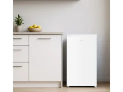 homeX Kühlboxen|Kühlschrank ohne Gefrierfach Vollraumkühlschrank Klein 88L Nutzinhalt Tischkühlschrank Freistehend Weiß