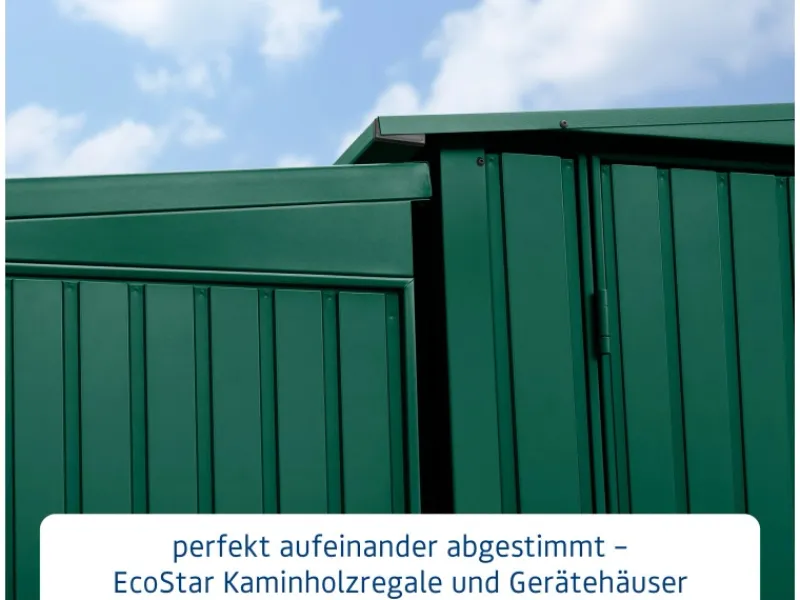 Kaminholzregal Trend-V Typ 1 aus Metall RAL6005*Hörmann