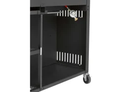 Jamestown Kombigrill Drake*Jamestown-Grill Outlet