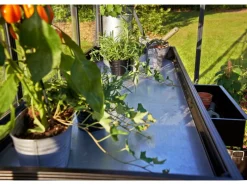 Gewächshaus Alutisch 2 Sektionen Schwarz*Juliana