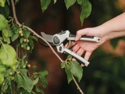 Kent & Stowe Gartenschere Bypass Lite Eversharp*Kent und Stowe