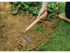 Kent und Stowe Rechen|Gartenhandgeräte|Kent & Stowe Schneidhacke