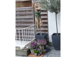 Kokosfaser Mulchmatte idealer Topfuntersetzer und Baumschutz Natur 50 x 50 cm*Proflora Online