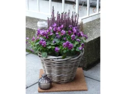Proflora Weitere Gartenhelfer|Gartenvliese|Kokosfaser Mulchmatte idealer Topfuntersetzer und Baumschutz Natur 30 x 30 cm