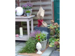 Kokosfaser Mulchmatte idealer Topfuntersetzer und Baumschutz Natur 100 x 50 cm*Proflora Online