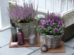 Kokosfaser Mulchmatte Topfuntersetzer und Baumschutz 4er Set Natur 40 x 40 cm*Proflora New