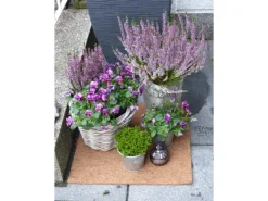 Proflora Weitere Gartenhelfer|Kokosfaser Mulchmatte Topfuntersetzer und Baumschutz 4er Set Natur 50 x 50 cm