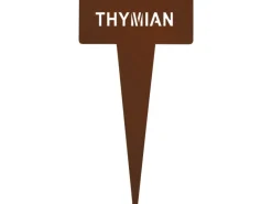 Kräuterstecker Thymian 15 cm farben* Best