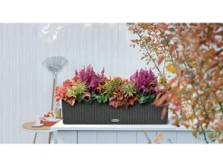 Lechuza Balkonmöbel|® Balkonkasten Balconera 79 cm x 19 cm x 19 cm Granit Starter-Set