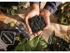 ® Pflanzsubstrat Blackstone Pon 12 l Schwarz*Lechuza Clearance
