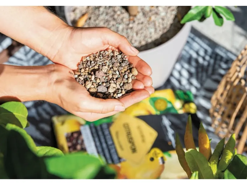 ® Pflanzsubstrat Citrus Pon 12 l Neutral*Lechuza Discount