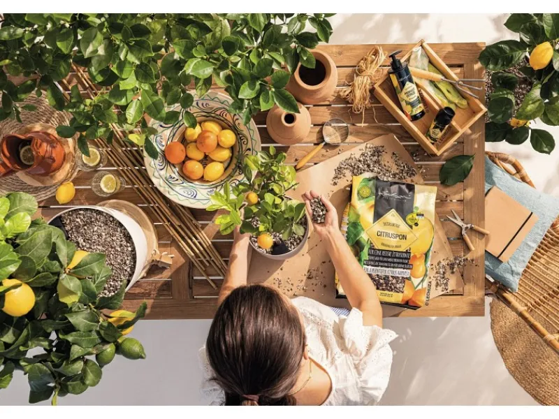 ® Pflanzsubstrat Citrus Pon 12 l Neutral*Lechuza Discount