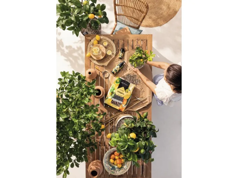 ® Pflanzsubstrat Citrus Pon 12 l Neutral*Lechuza Discount