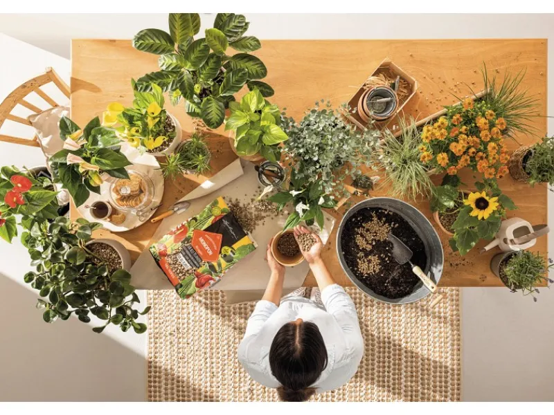 Lechuza Hydrokultur|® Pflanzsubstrat Mono Pon 12 l Neutral