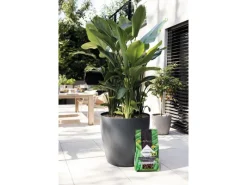 ® Pflanzsubstrat Pon XXL 25 l Neutral*Lechuza New