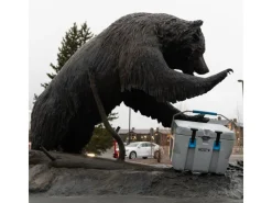 Lifetime Kühlboxen|Wassersport|Kühlbox Campingbox 26,5 Liter Grau