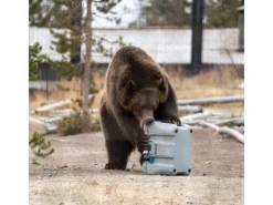 Lifetime Kühlboxen|Wassersport|Kühlbox Campingbox 26,5 Liter Grau