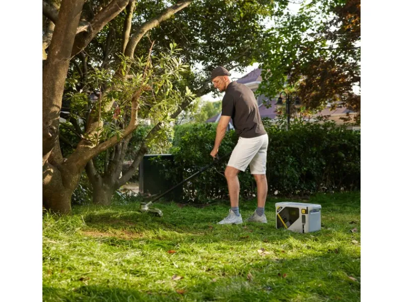 Litheli Rasentrimmer|Freischneider|U20 Akku-Rasentrimmer 2 x 20V EGT020065 inkl. 2 x Akku 2.0 Ah