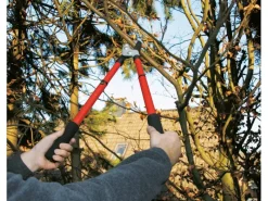 LUX Astschere Amboss 51 cm Teleskopierbar*LUX-TOOLS