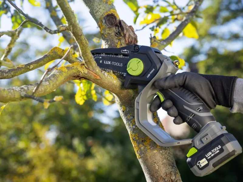 20 V Akku-Astsäge 1 PowerSystem A-EAS-20/154 Set*LUX-TOOLS Discount