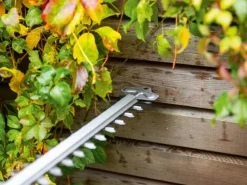 LUX-TOOLS Heckenscheren|Akku-Teleskop-Heckenschere & -Astsäge A-HS-20/41T-2in1 A