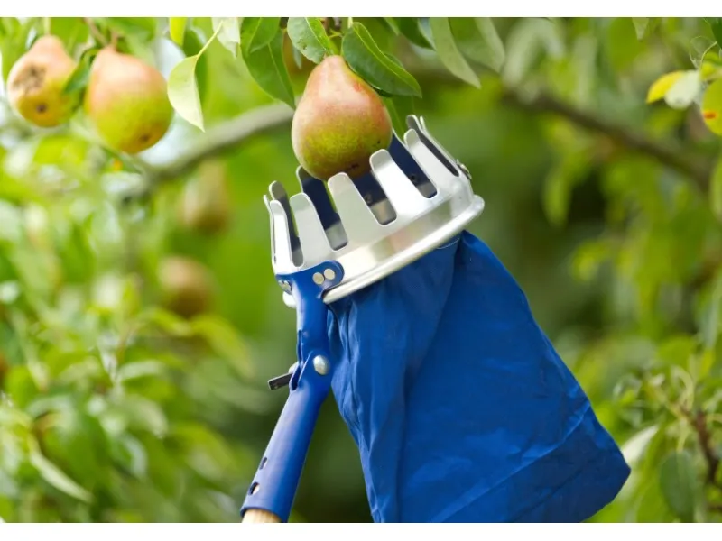 Obstpflücker Ø 15 cm*LUX-TOOLS Discount