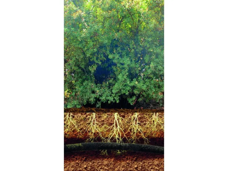 LUX-TOOLS Gartenschläuche|Perlschlauch 13 mm (1/2") 15 m